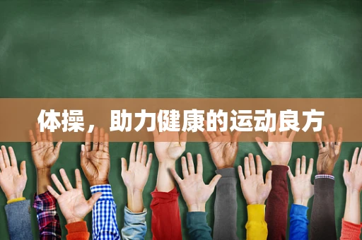 体操，助力健康的运动良方