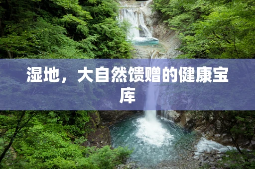 湿地，大自然馈赠的健康宝库