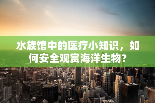 水族馆中的医疗小知识，如何安全观赏海洋生物？