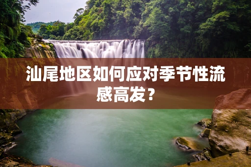汕尾地区如何应对季节性流感高发？