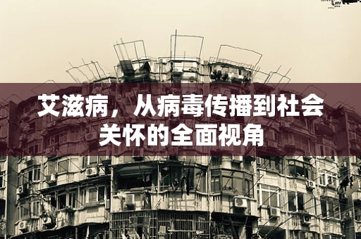 艾滋病，从病毒传播到社会关怀的全面视角