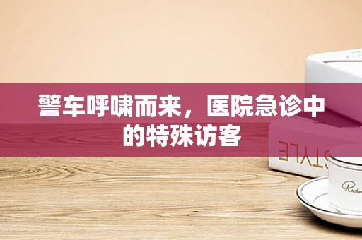 警车呼啸而来，医院急诊中的特殊访客