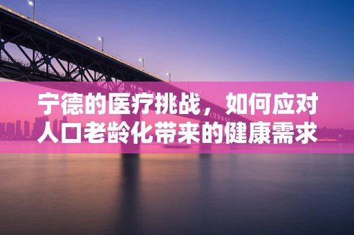宁德的医疗挑战，如何应对人口老龄化带来的健康需求？