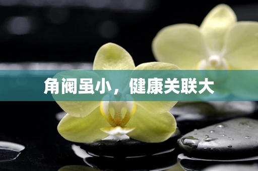 角阀虽小，健康关联大