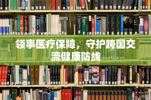 领事医疗保障，守护跨国交流健康防线