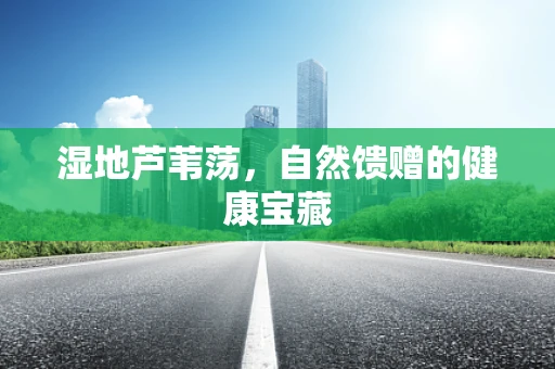 湿地芦苇荡，自然馈赠的健康宝藏