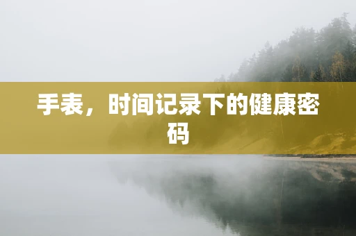 手表，时间记录下的健康密码