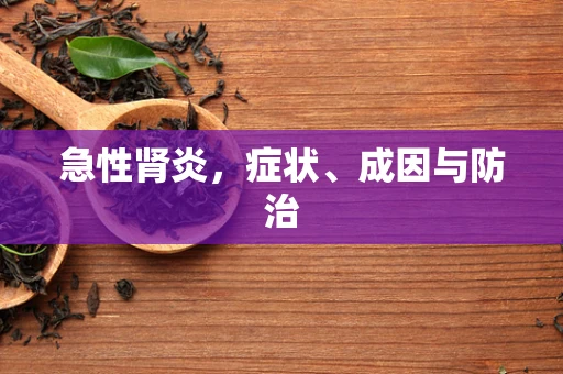 急性肾炎，症状、成因与防治
