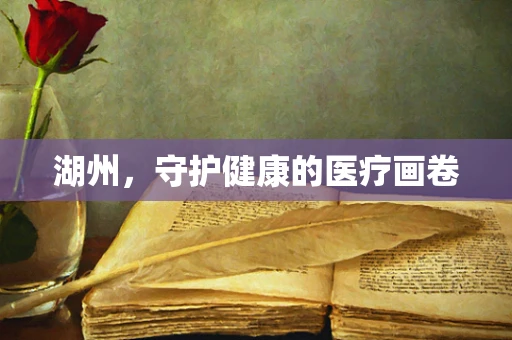 湖州，守护健康的医疗画卷