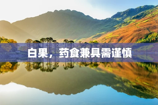白果，药食兼具需谨慎