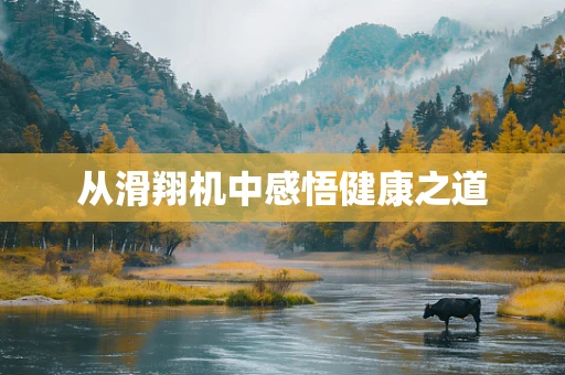 从滑翔机中感悟健康之道