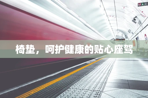 椅垫，呵护健康的贴心座驾