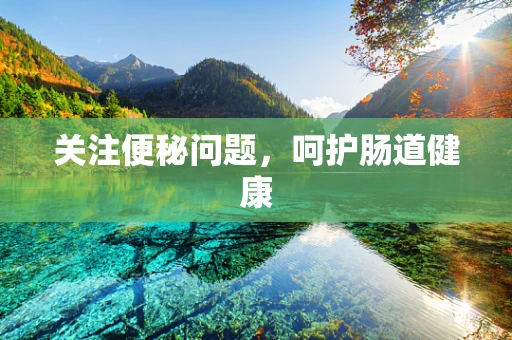 关注便秘问题，呵护肠道健康