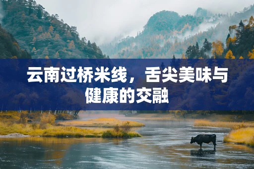 云南过桥米线，舌尖美味与健康的交融