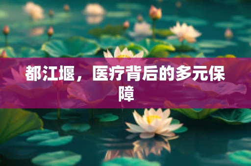 都江堰，医疗背后的多元保障